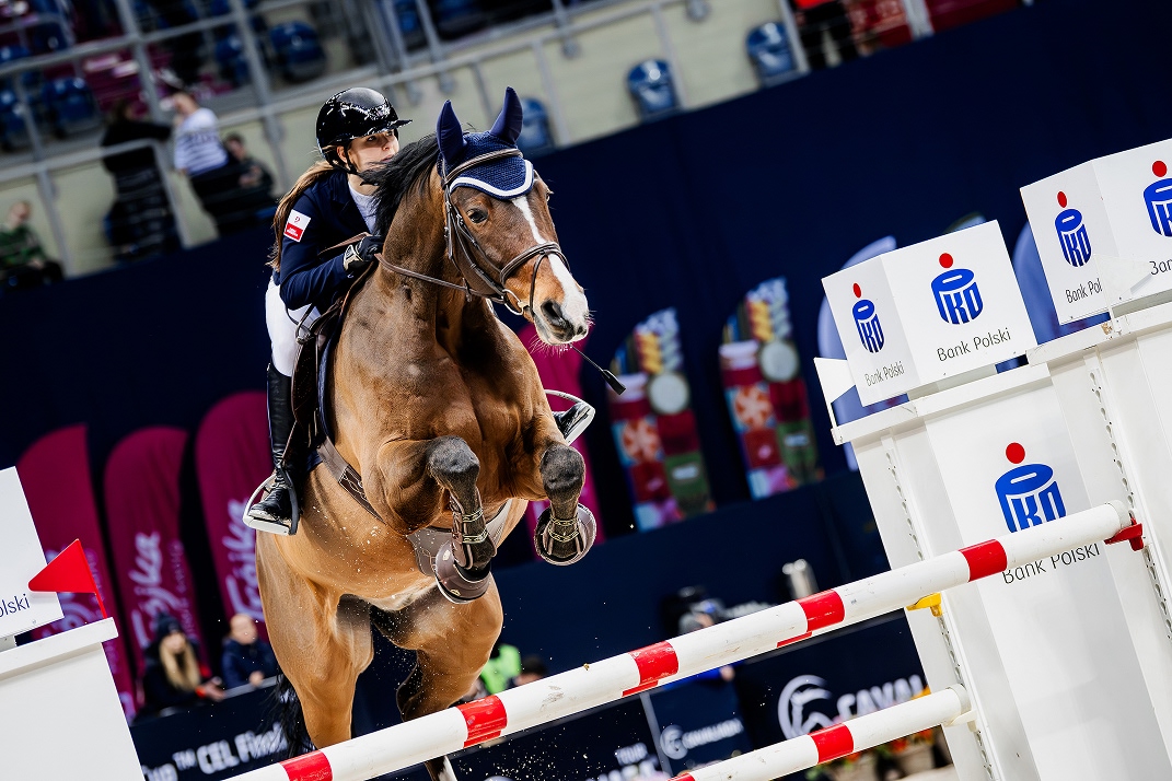 Fidelio – doświadczony koń sportowy - kadrowicz, idealny nauczyciel dla młodzieży
