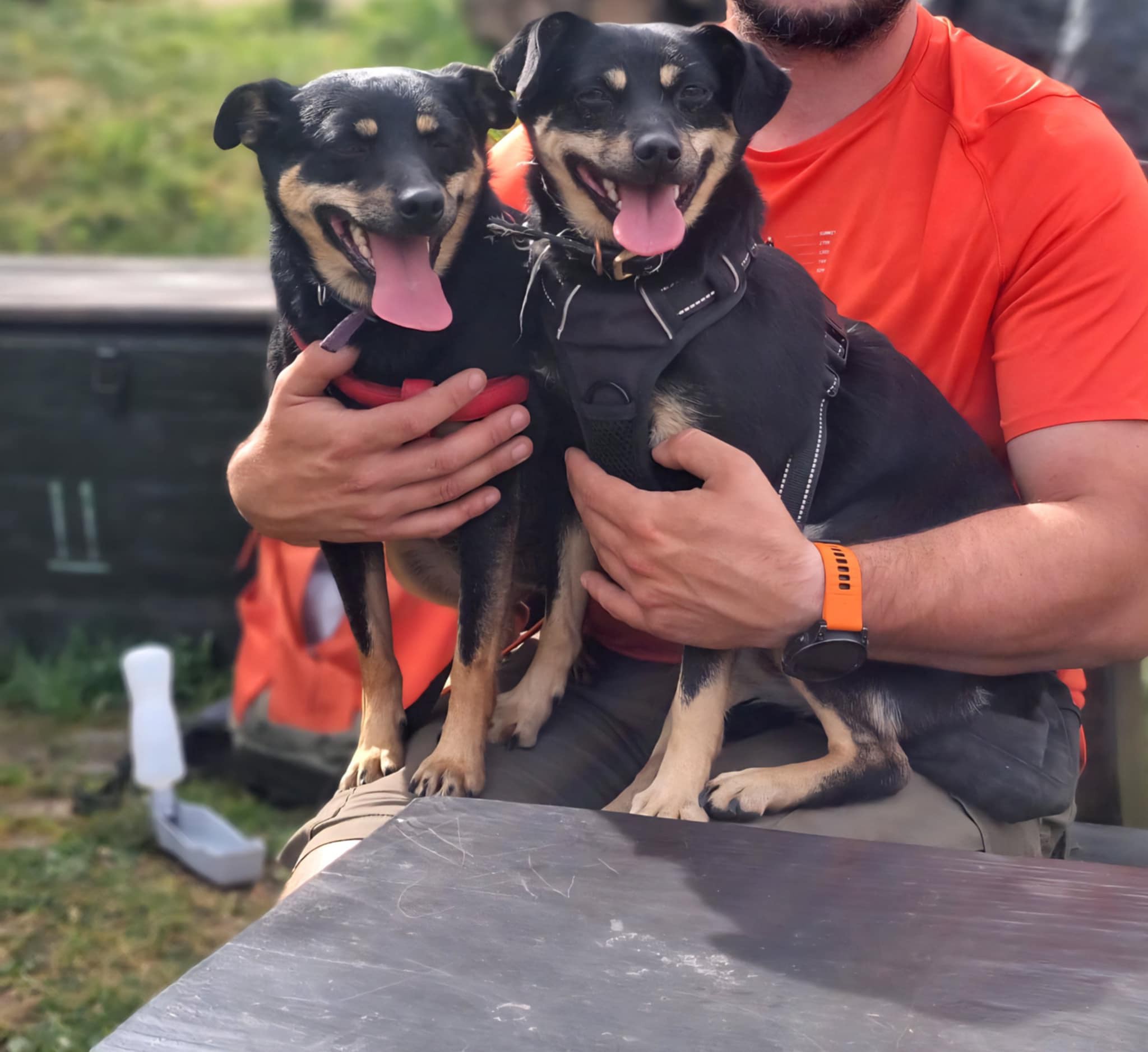 Felicja i Migotka (Karolinki)