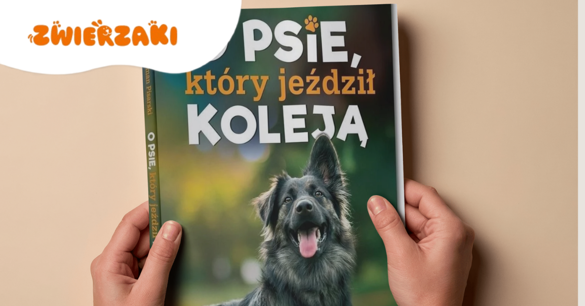O psie, który jeździł koleją – ciekawostki o kultowej lekturze i psie, który naprawdę istniał