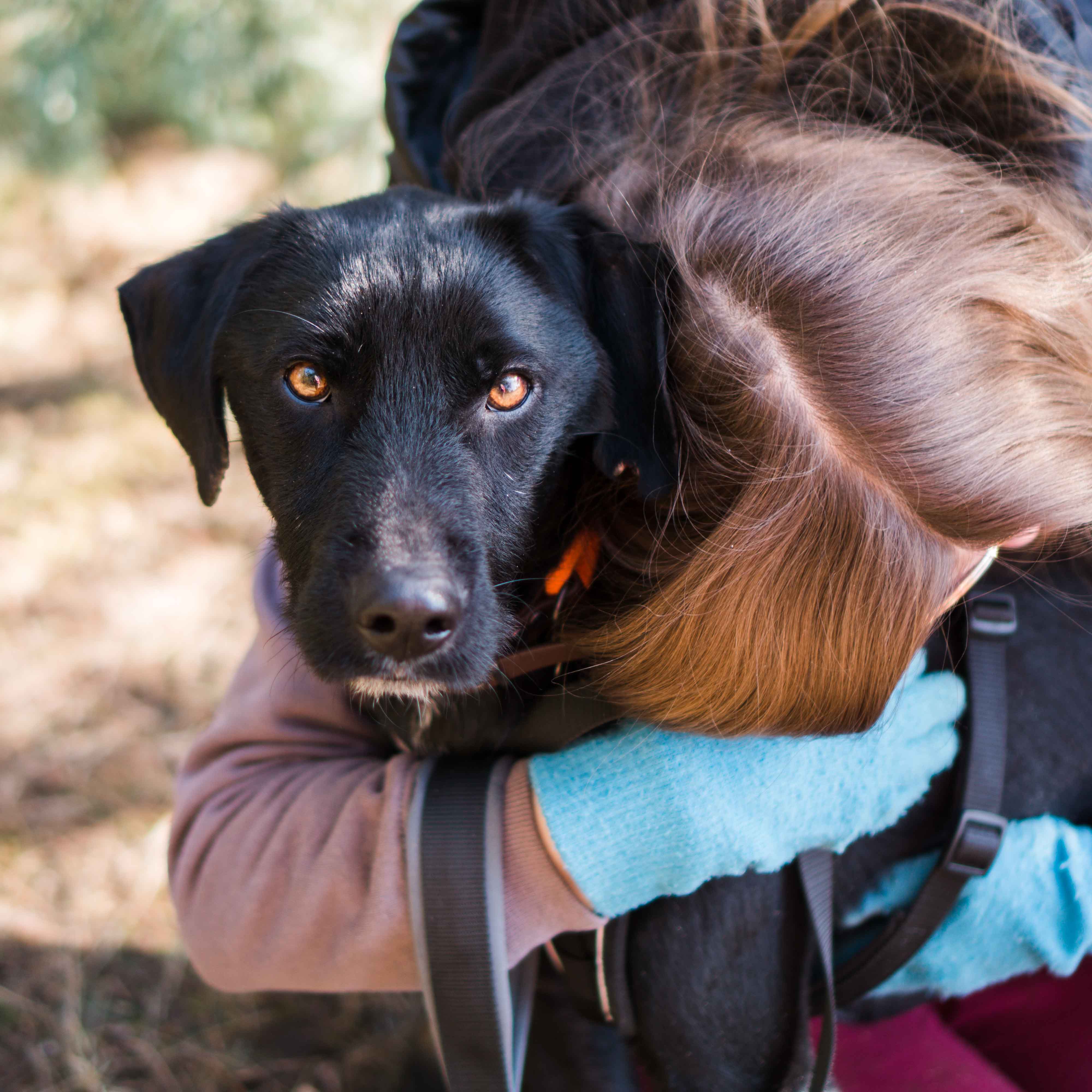Dżager