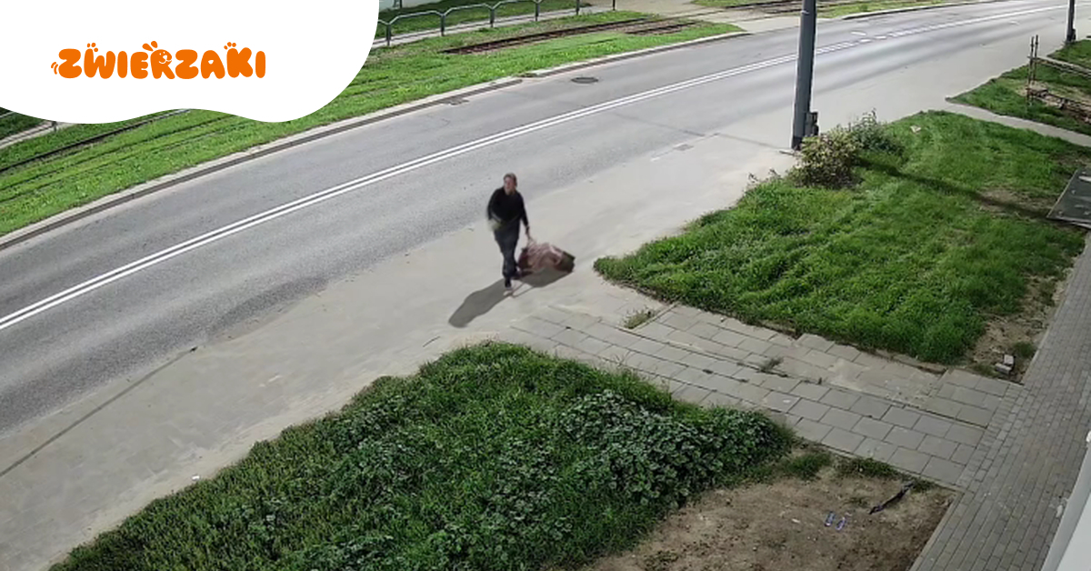 Policja szuka tej kobiety. W walizce znaleziono martwego psa