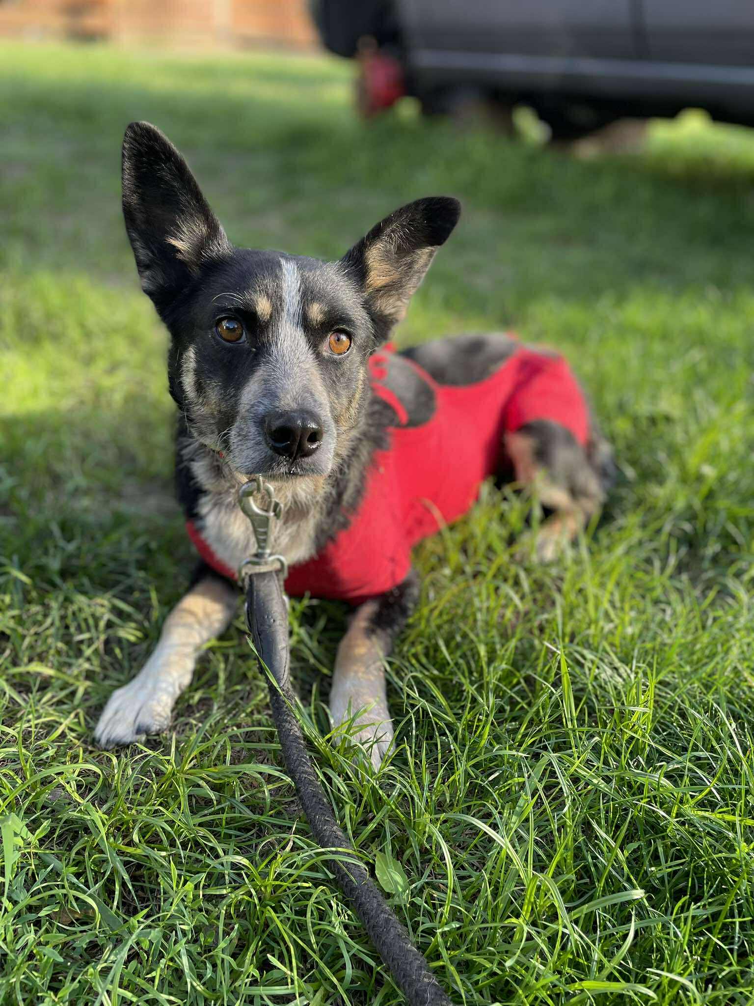 Lena 