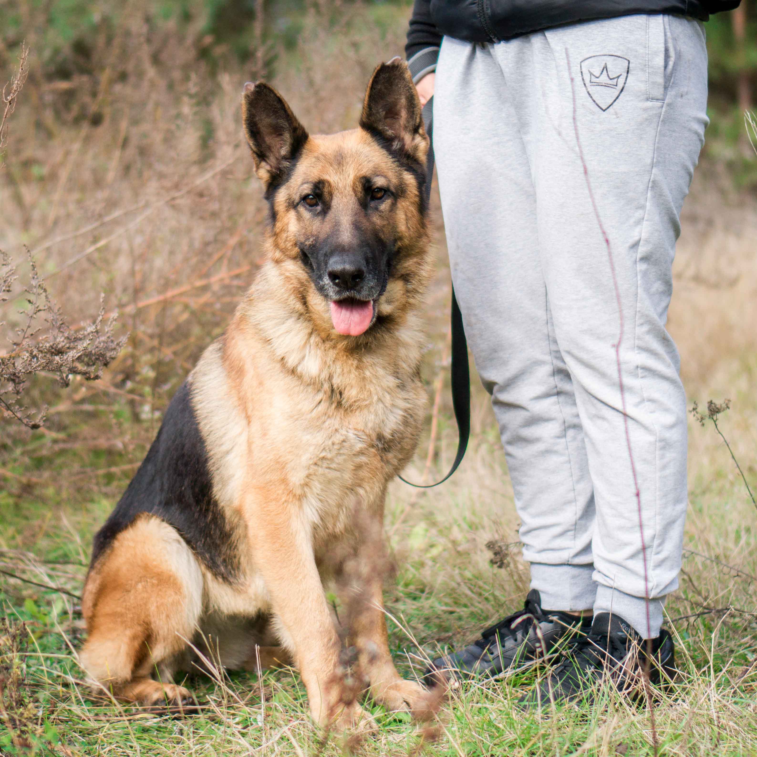 Kama