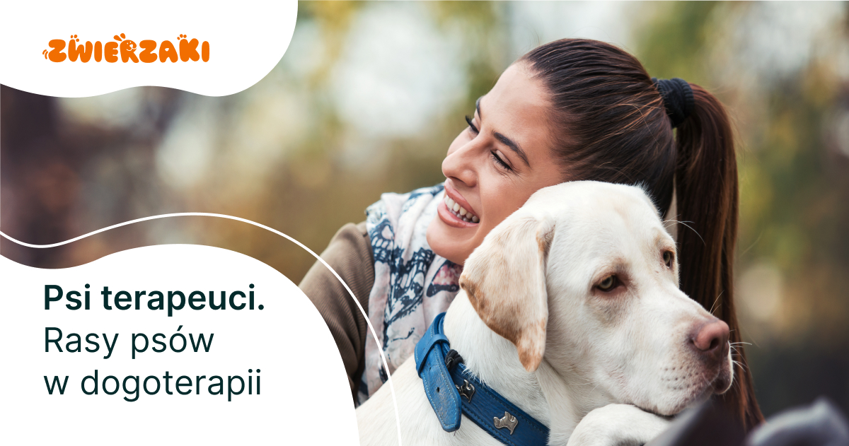 Psi terapeuci. Rasy psów w dogoterapii