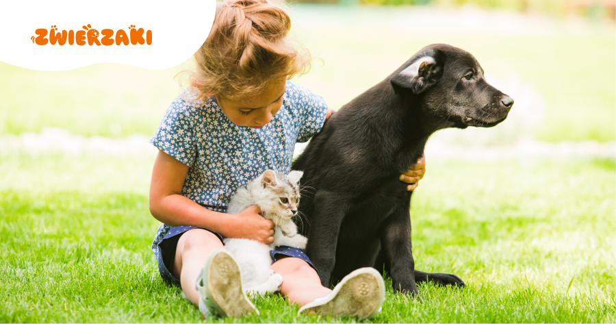 Zwierzęta, które potrafią czytać emocje: prawda czy mit?