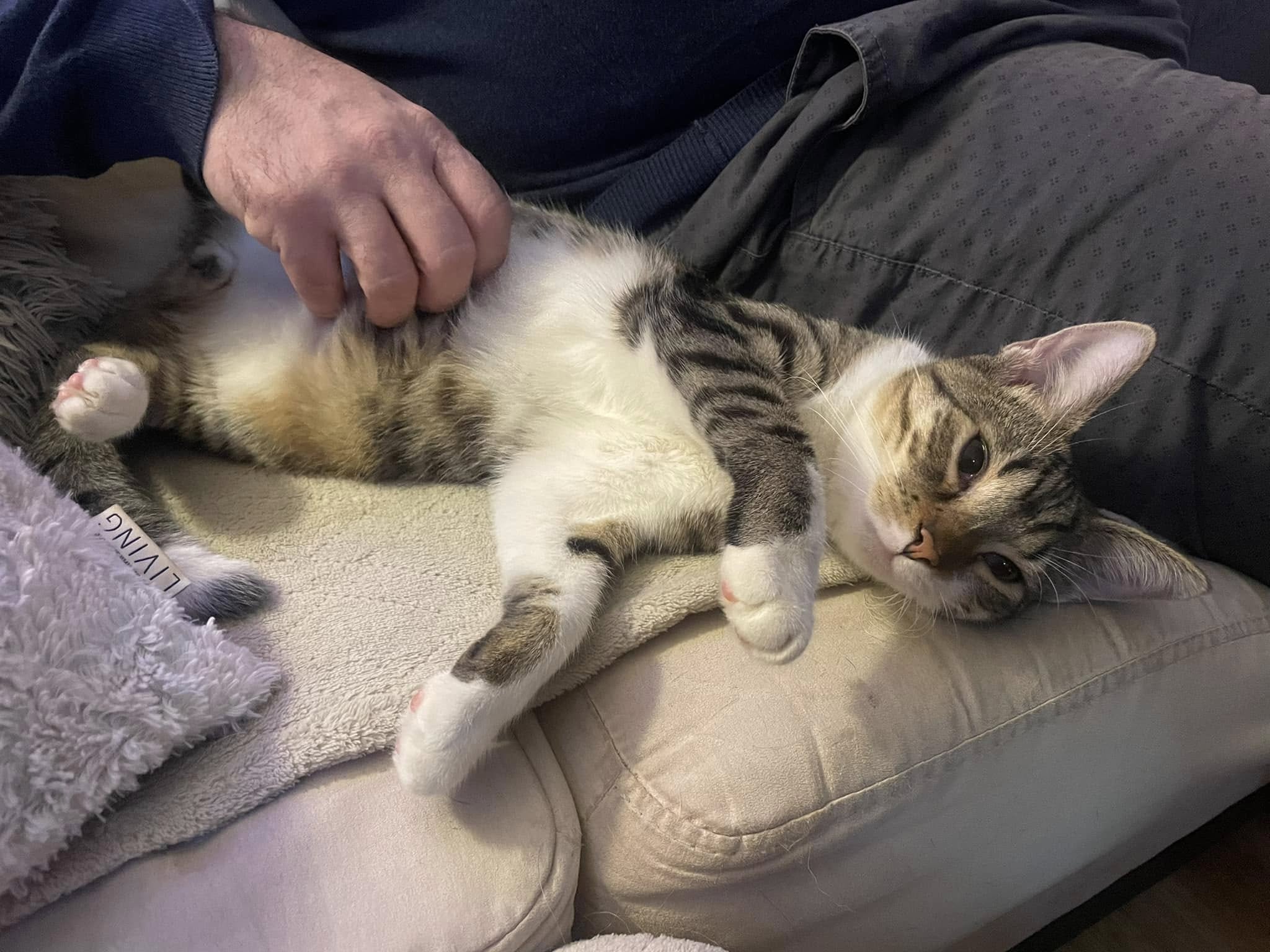 Hugo