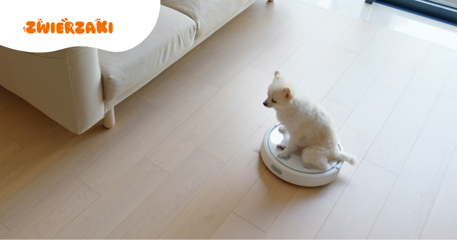 Czy robot sprzątający stresuje kota lub psa? Jak to ocenić?