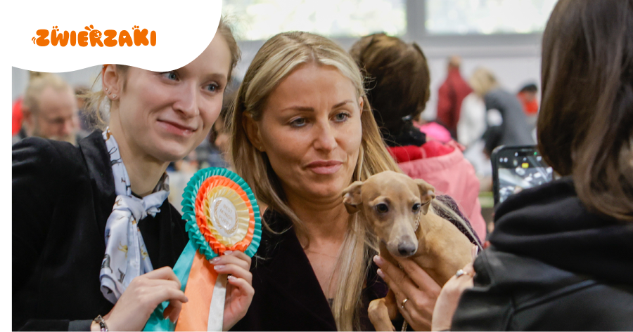 Wystawy psów w II kwartale 2026 roku: zaplanuj swoją wizytę!