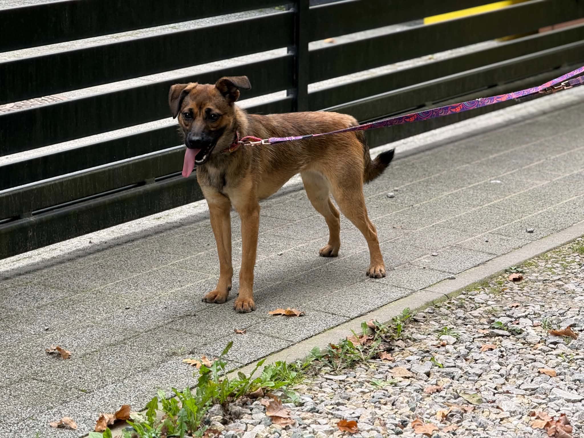 Norka 