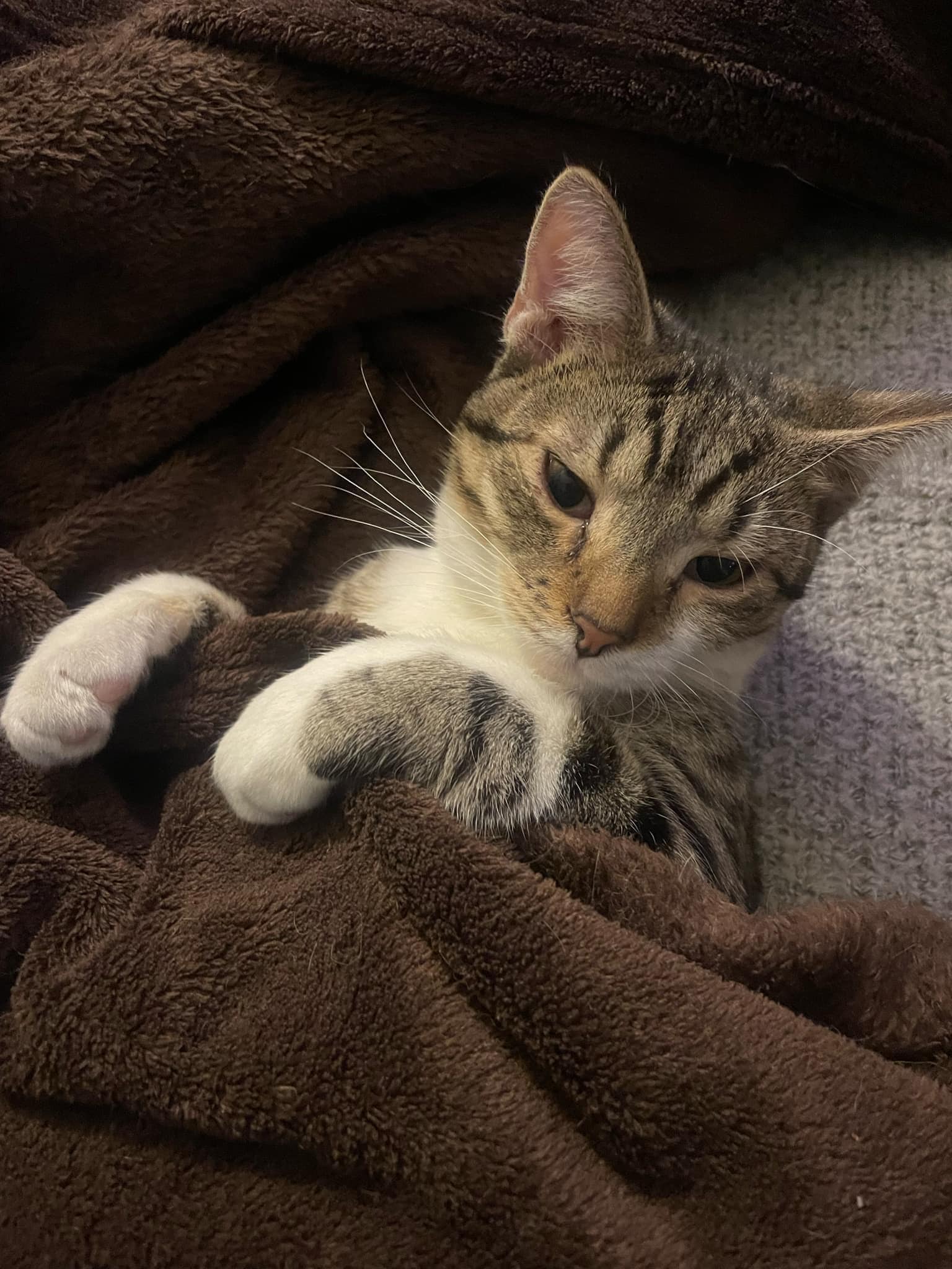 Hugo