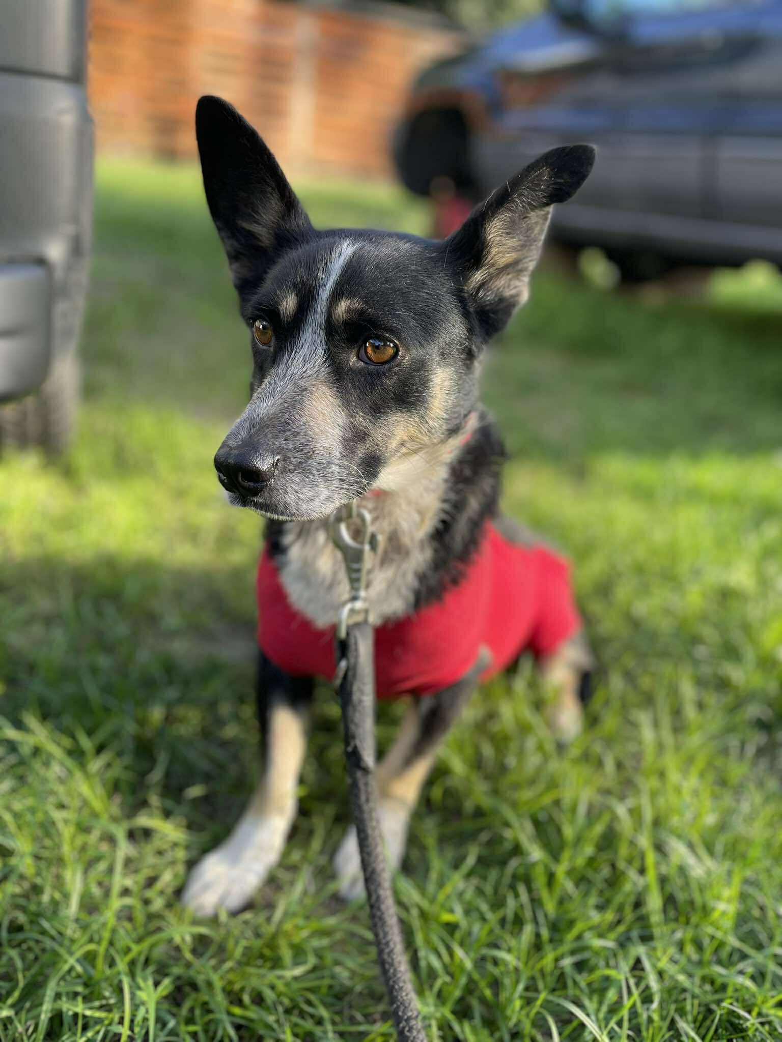 Lena 