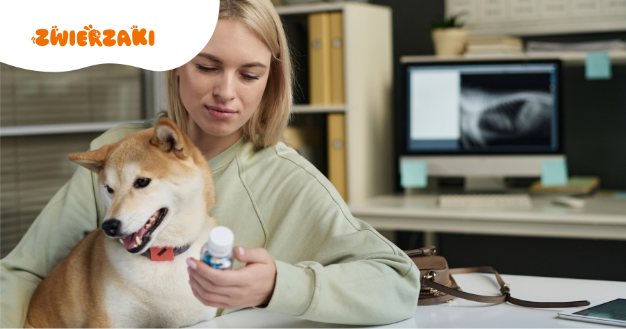 Czy można podać psu pyralginę? Czym to grozi?