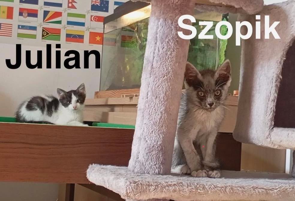 Julian i Szopik