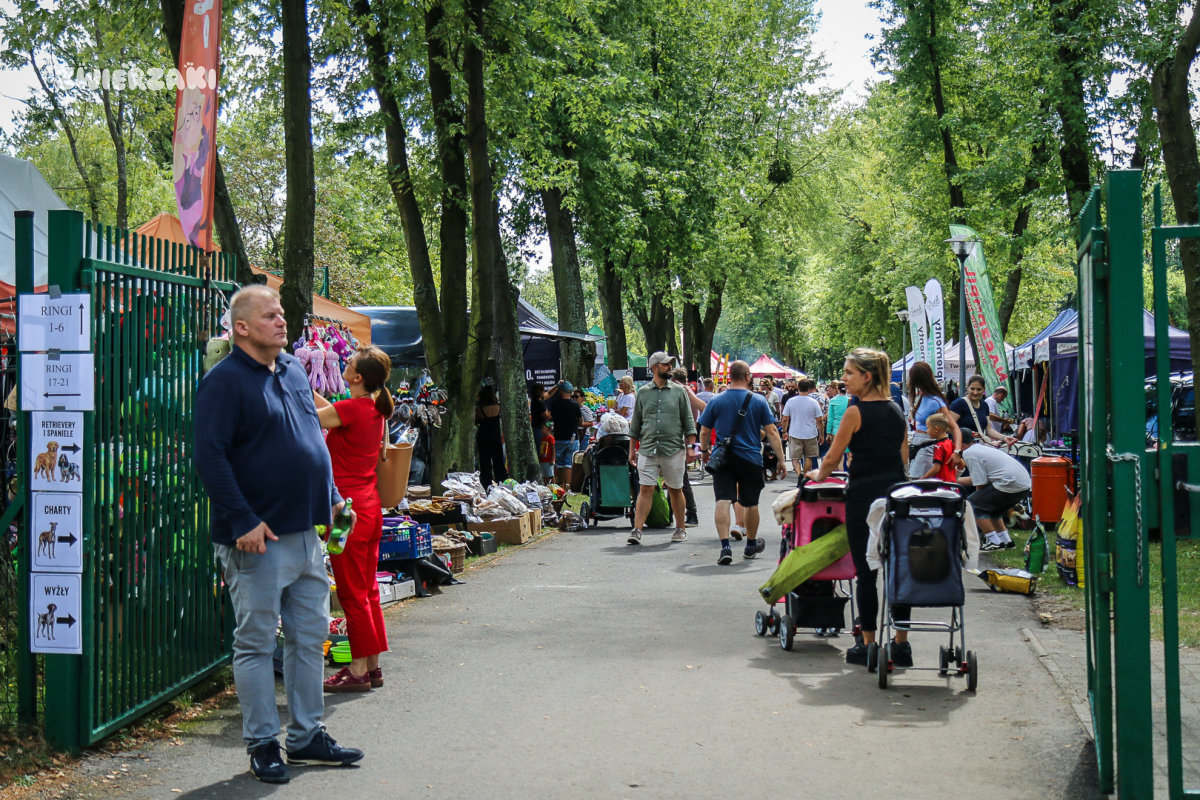 Tysiące psów opanowały Rybnik. Tak wyglądała wystawa w Kamieniu [ZDJĘCIA]