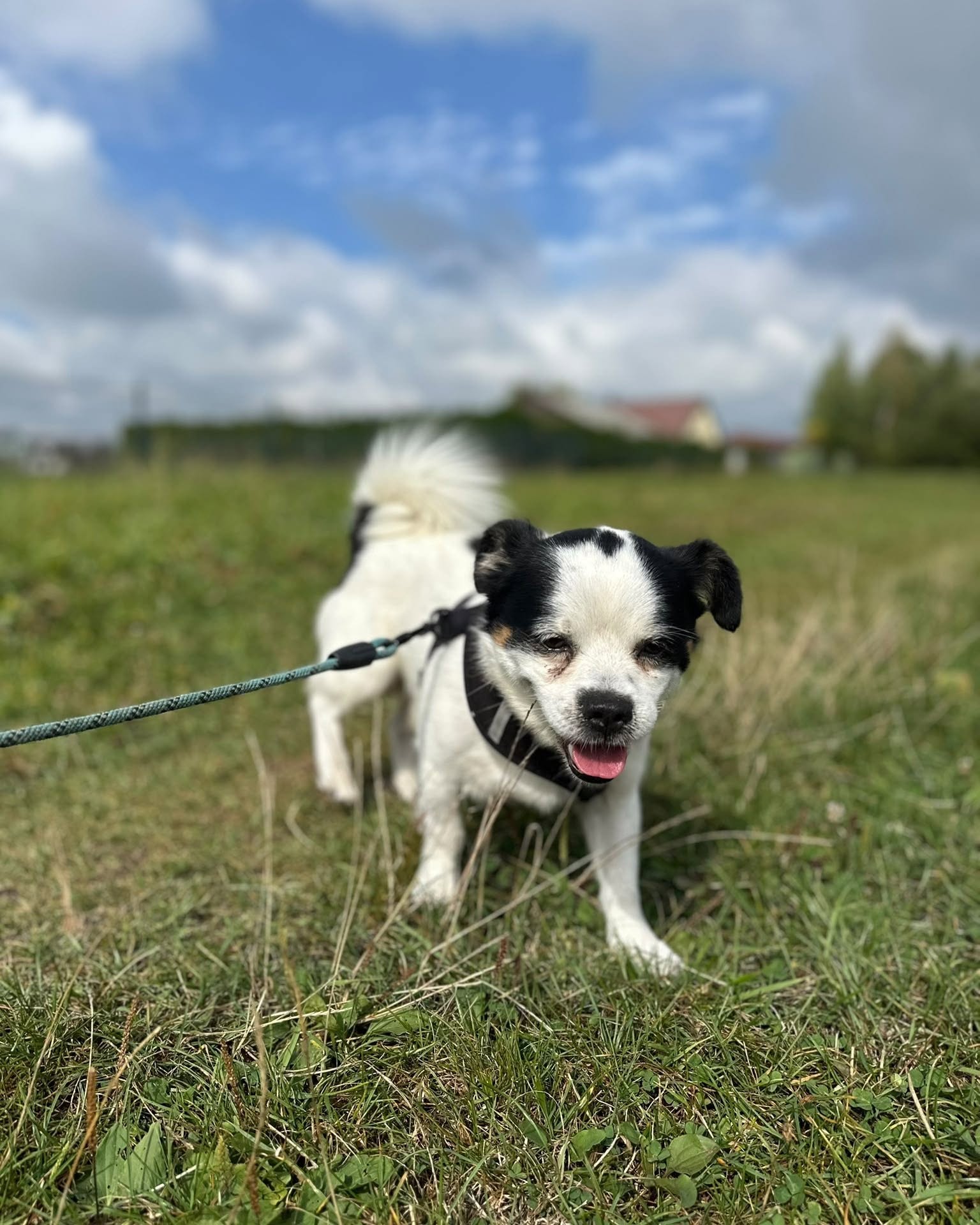 MIKSER