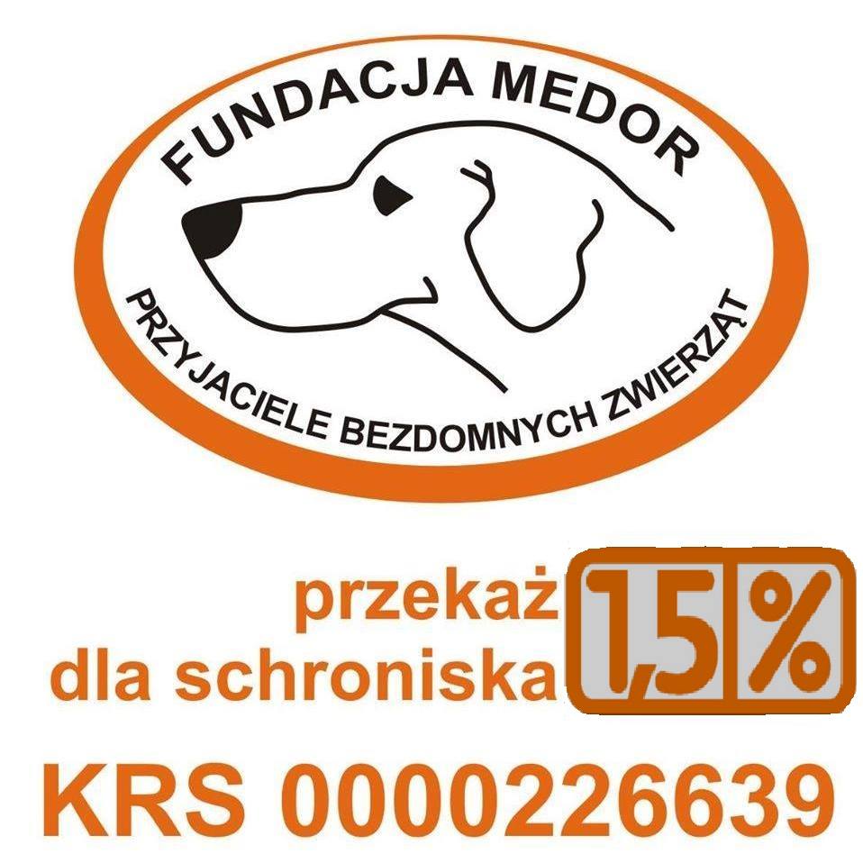 Fundacja Medor 