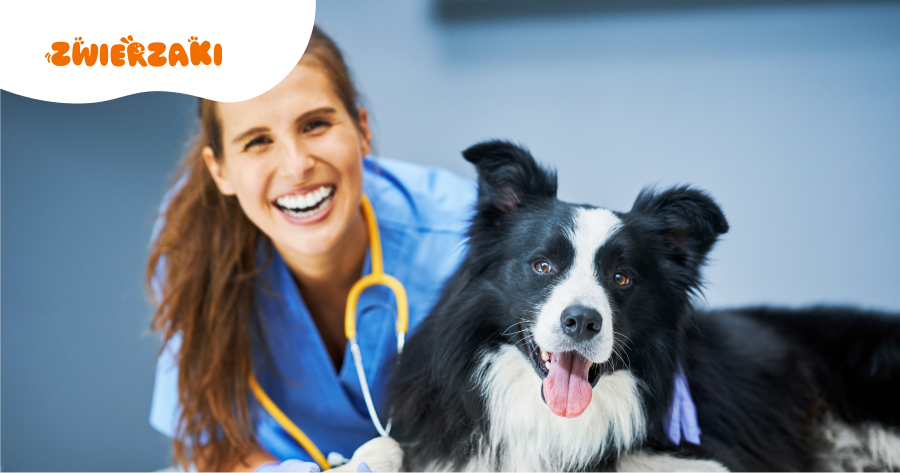 Kiedy skonsultować się z weterynarzem? Sygnały ostrzegawcze