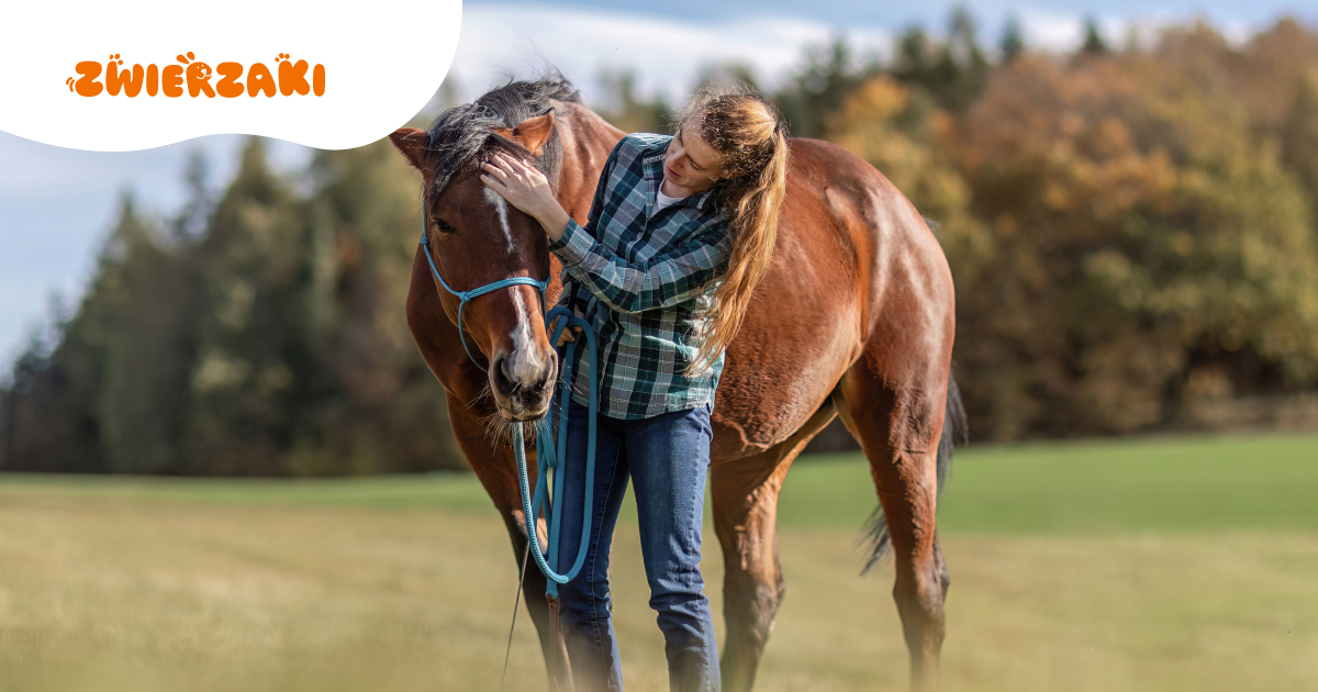 Natural Horsemanship. Czym jest i dlaczego zdobywa popularność?