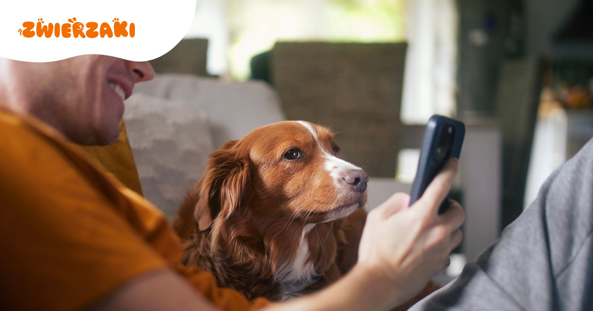 Kalendarz dla miłośników zwierząt na 2026 – co zaplanować dla swojego pupila w każdym miesiącu?