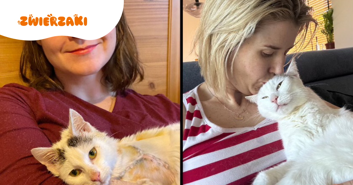 Influencerka Janina Daily: mój kot uratował mnie milion razy