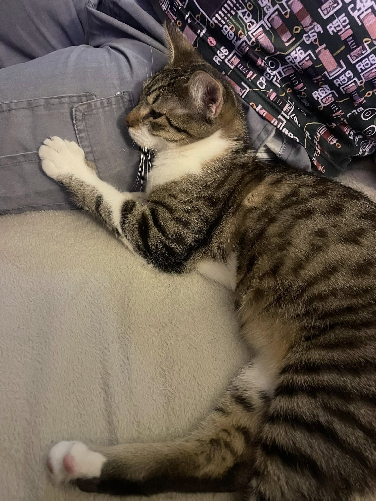 Hugo