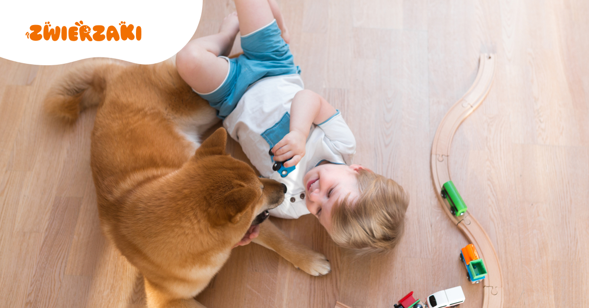 Dzieci dwa razy częściej padają ofiarą pogryzień przez psy. Lekarz ostrzega: najczęściej gryzą znane zwierzęta