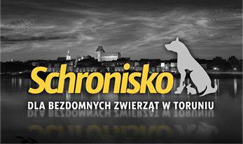 Schronisko dla Bezdomnych Zwierząt w Toruniu