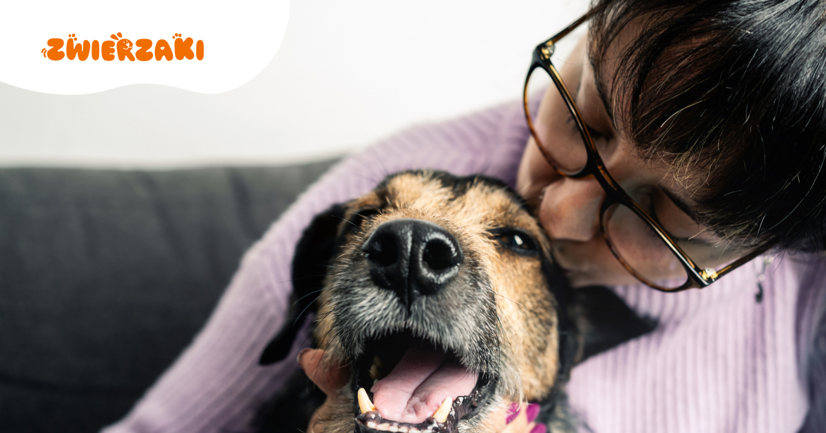 Adopcja vs. Zakup. Porównanie decyzji i konsekwencji