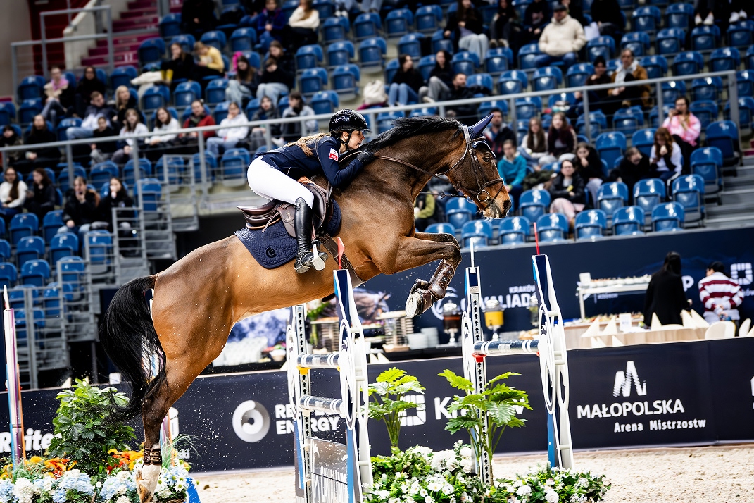 Fidelio – doświadczony koń sportowy - kadrowicz, idealny nauczyciel dla młodzieży