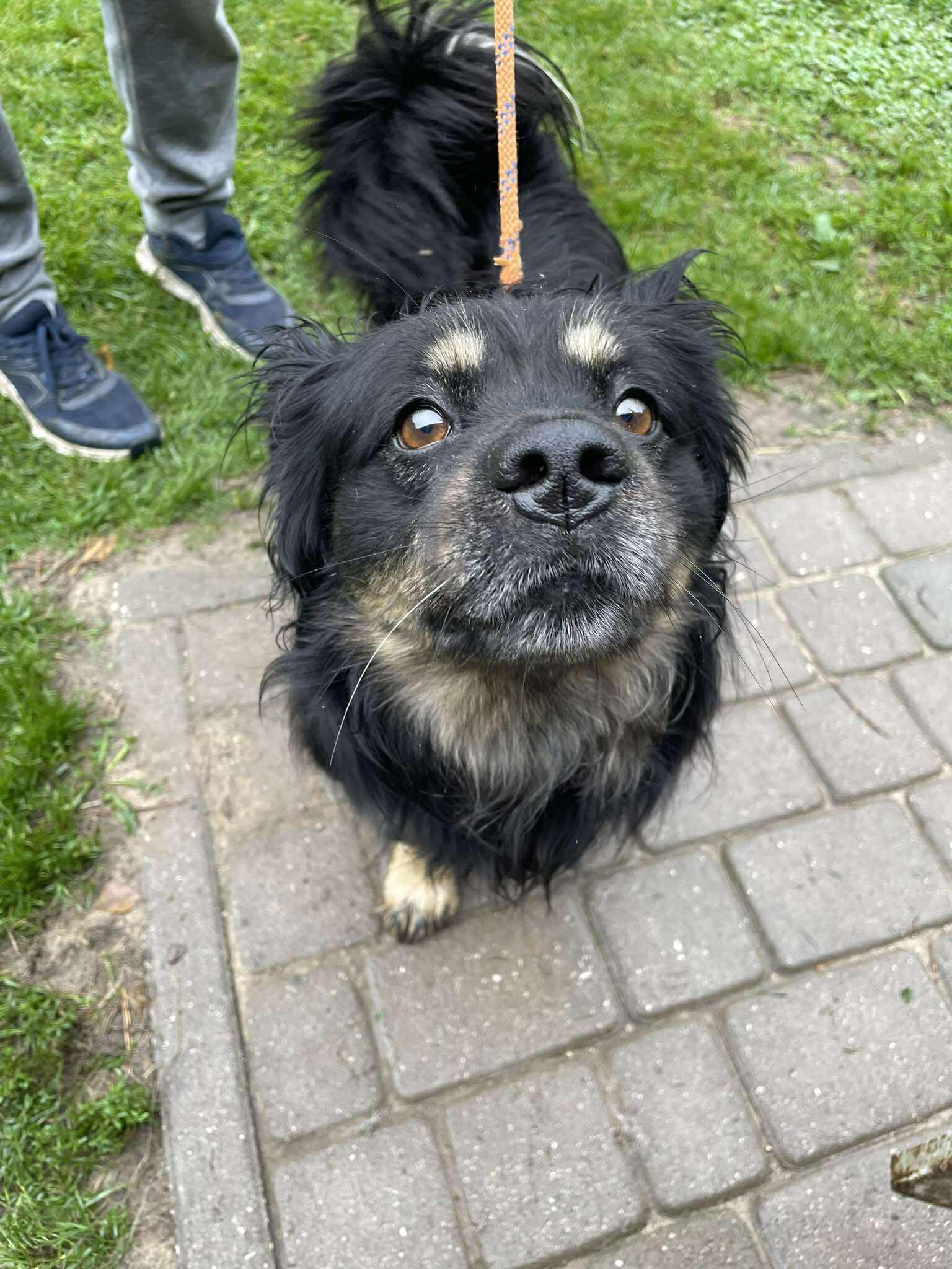 Sznurek