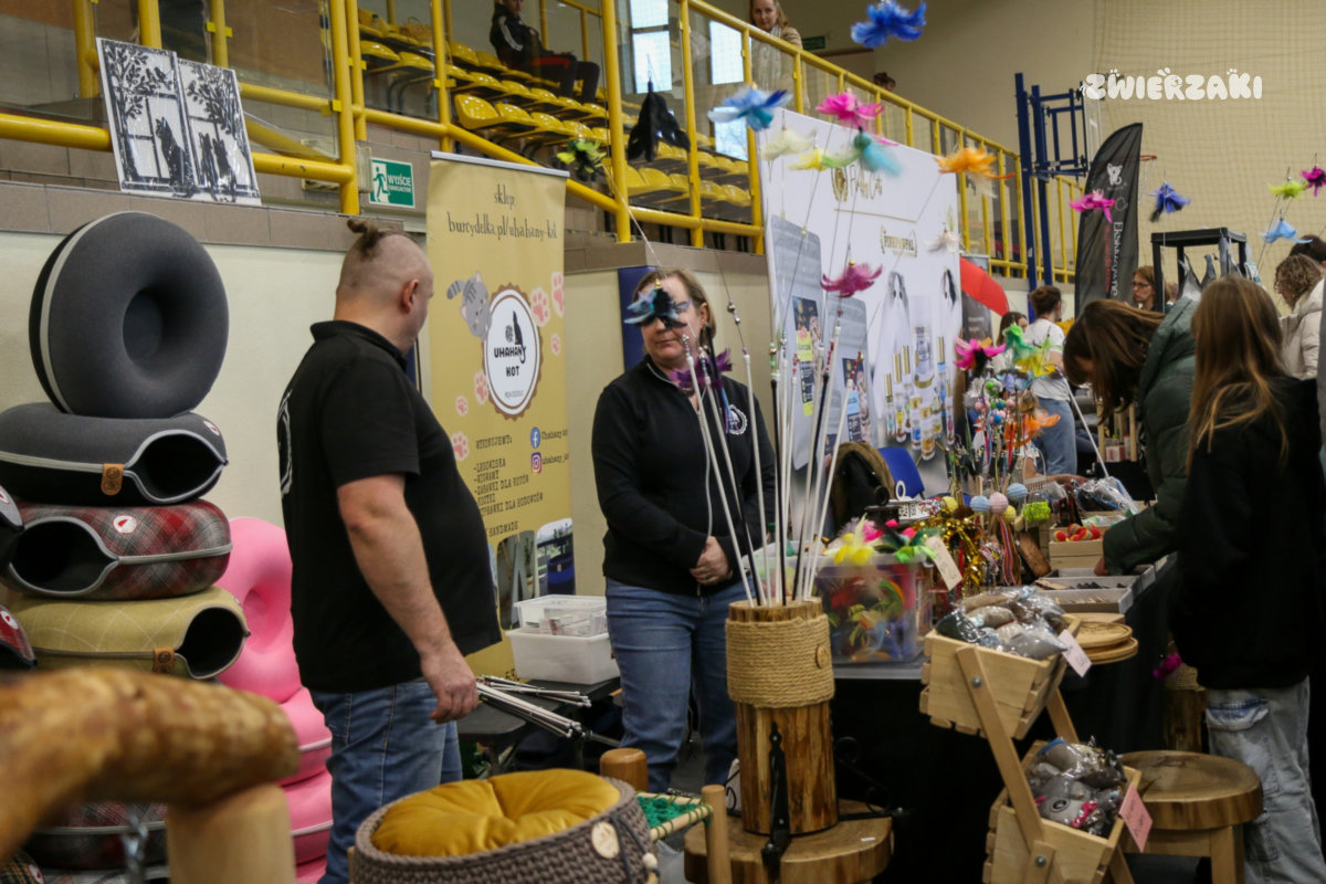 Międzynarodowa Wystawa Kotów Rasowych w Strumieniu – magia kociego świata w obiektywie