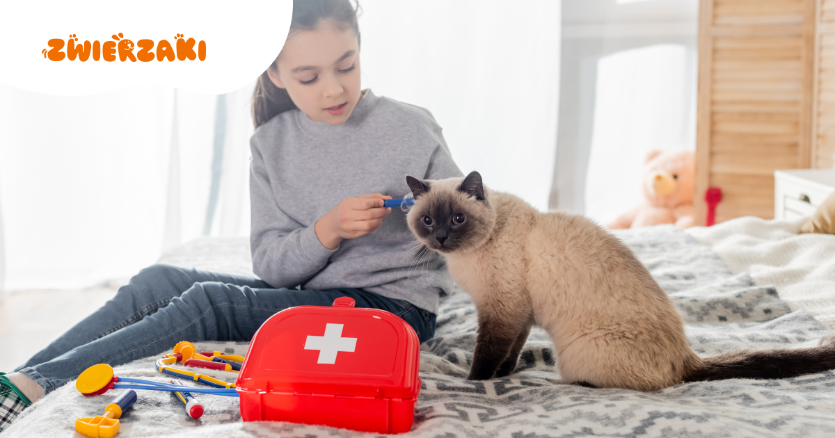 Zimowa apteczka dla zwierząt. Co warto mieć zawsze pod ręką?