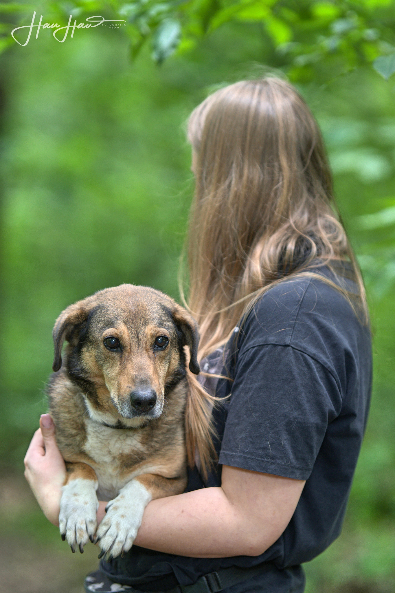 Never mix Jamnik pilne 