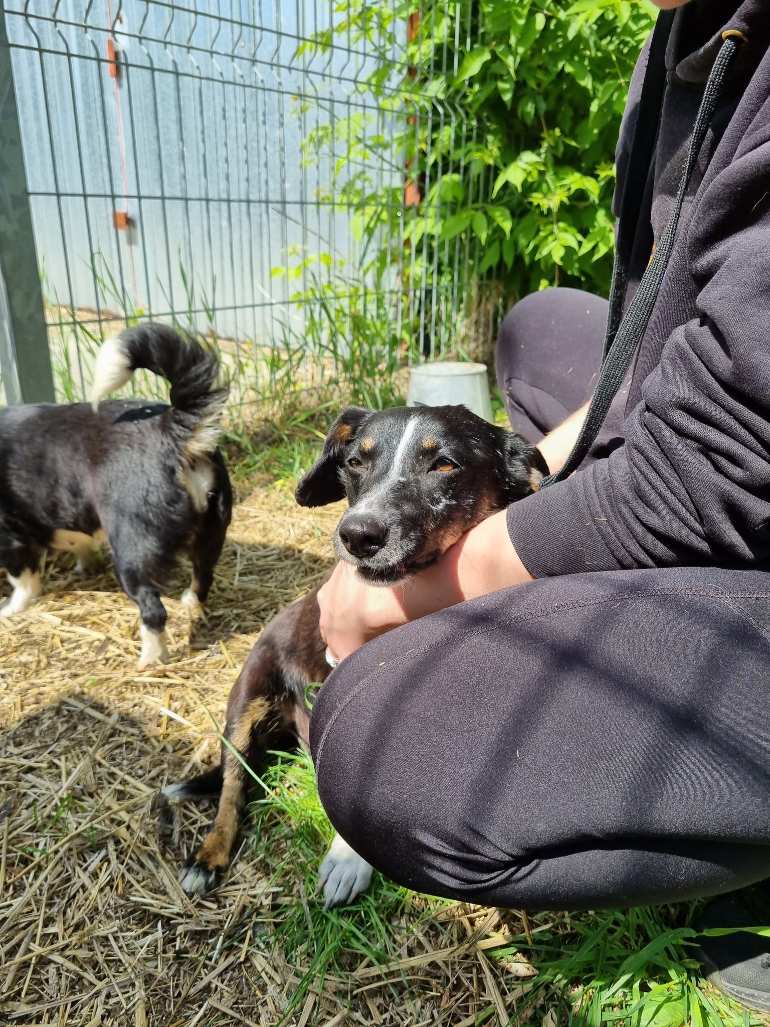 Lilka i Pola