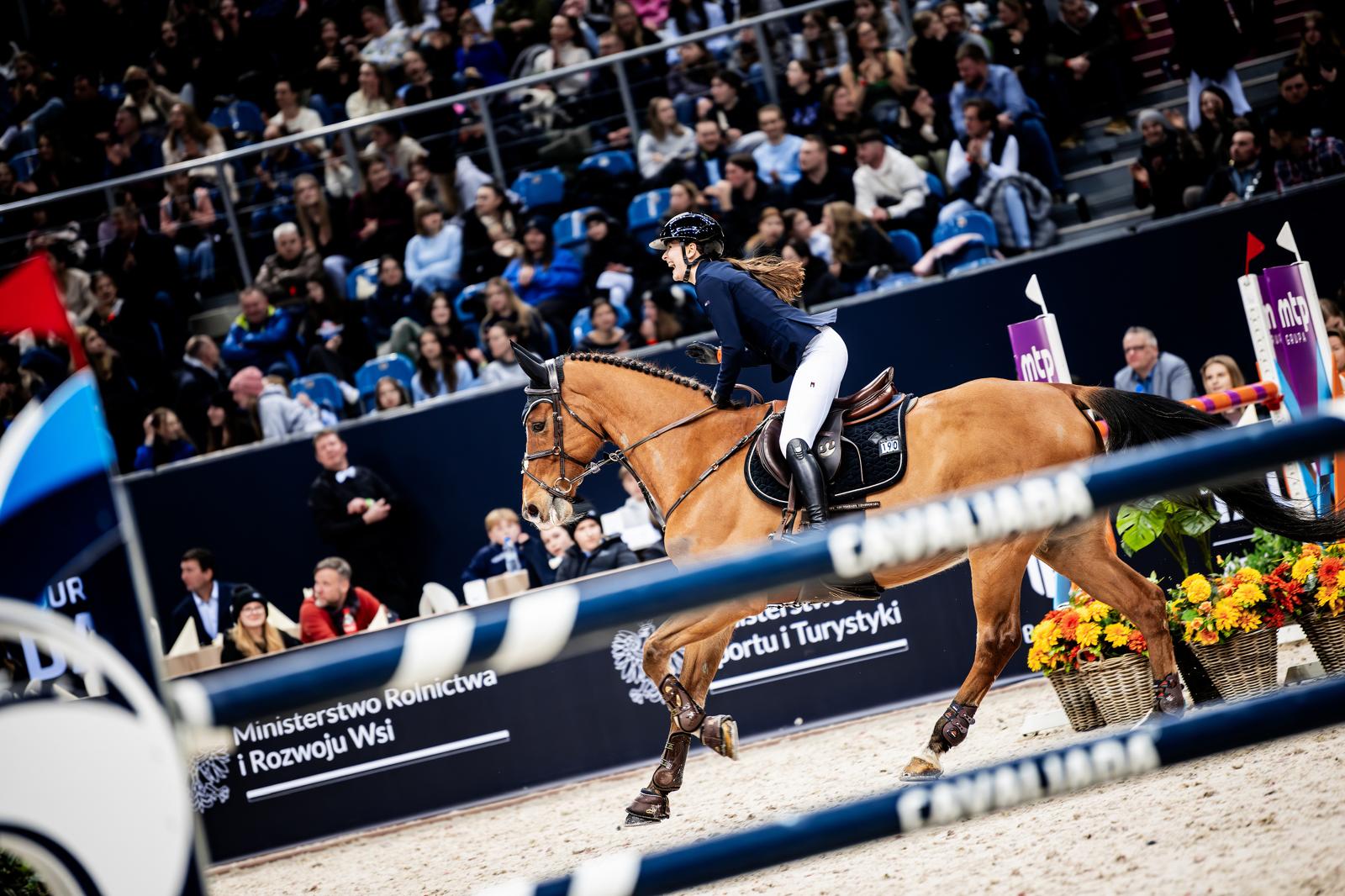 Wałach AŻUR – koń sportowy klasy międzynarodowej