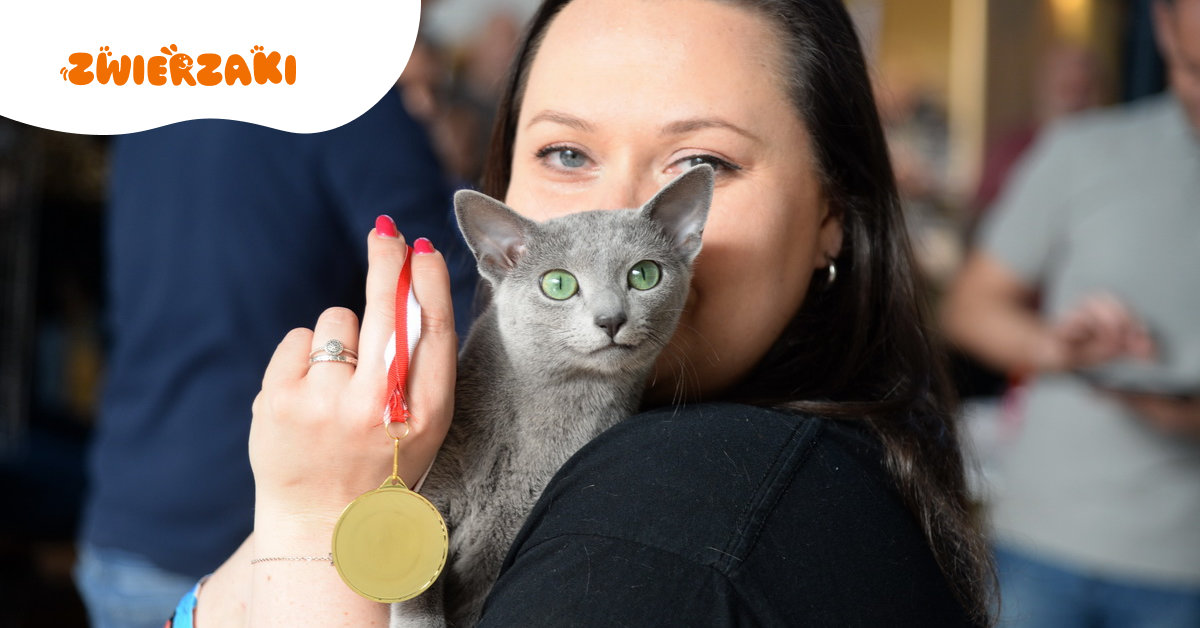 Międzynarodowa Wystawa Kotów Rasowych Szczecin 2026 – co działo się w miniony weekend?