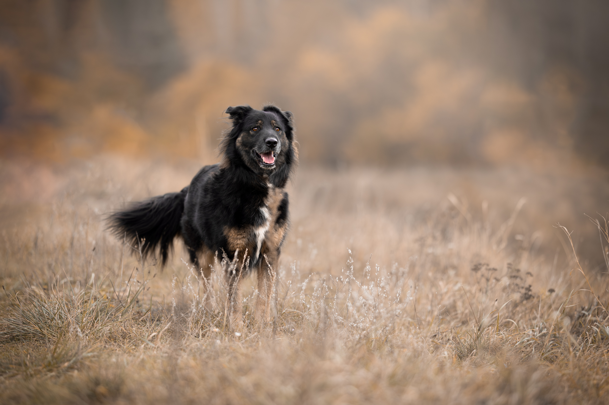 Axel