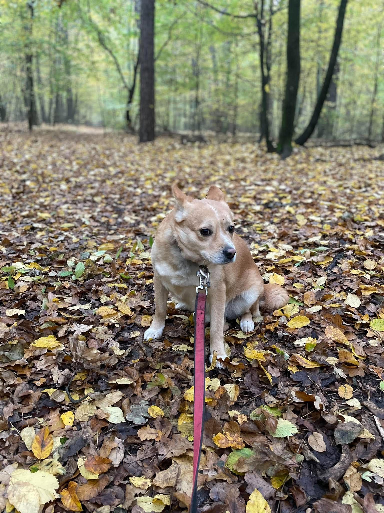 Nurek 