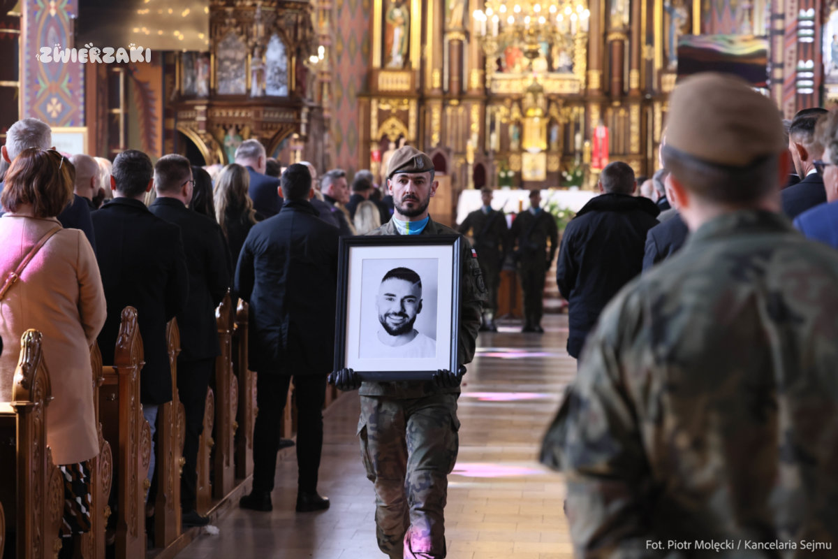 Pogrzeb Łukasza Litewki w Sosnowcu. Tłumy żegnały posła, który stawał w obronie zwierząt