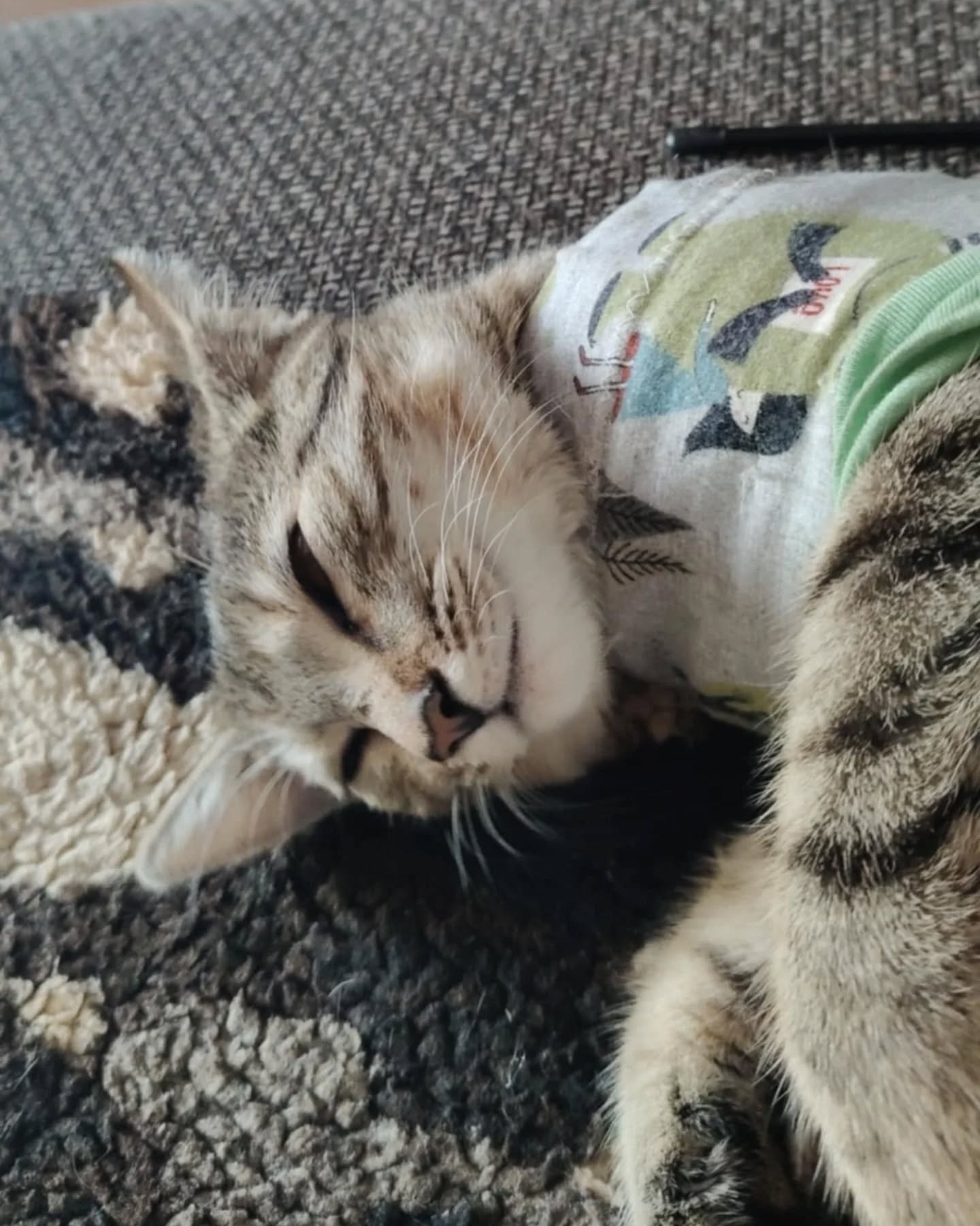 Lila