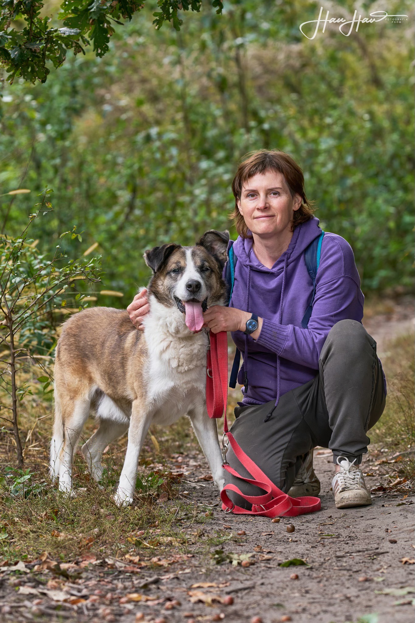 Niewidomy Wizir pilne 