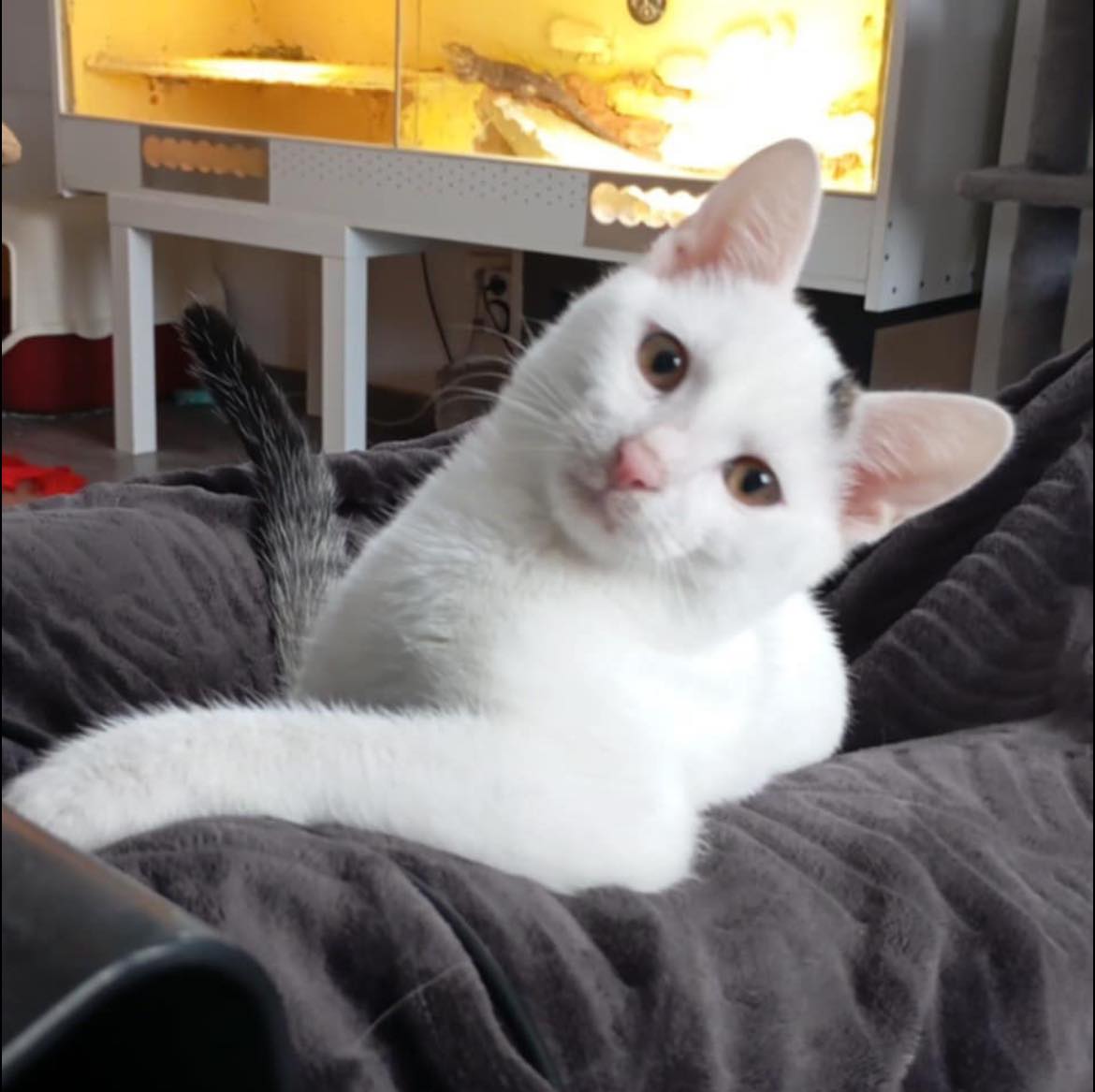 Filemon