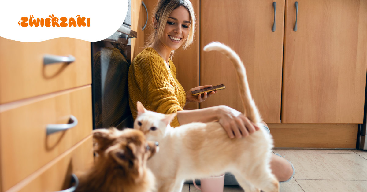 Ile kosztuje utrzymanie psa lub kota w 2026 roku? Nowy sondaż pokazuje, ile naprawdę płacą Polacy