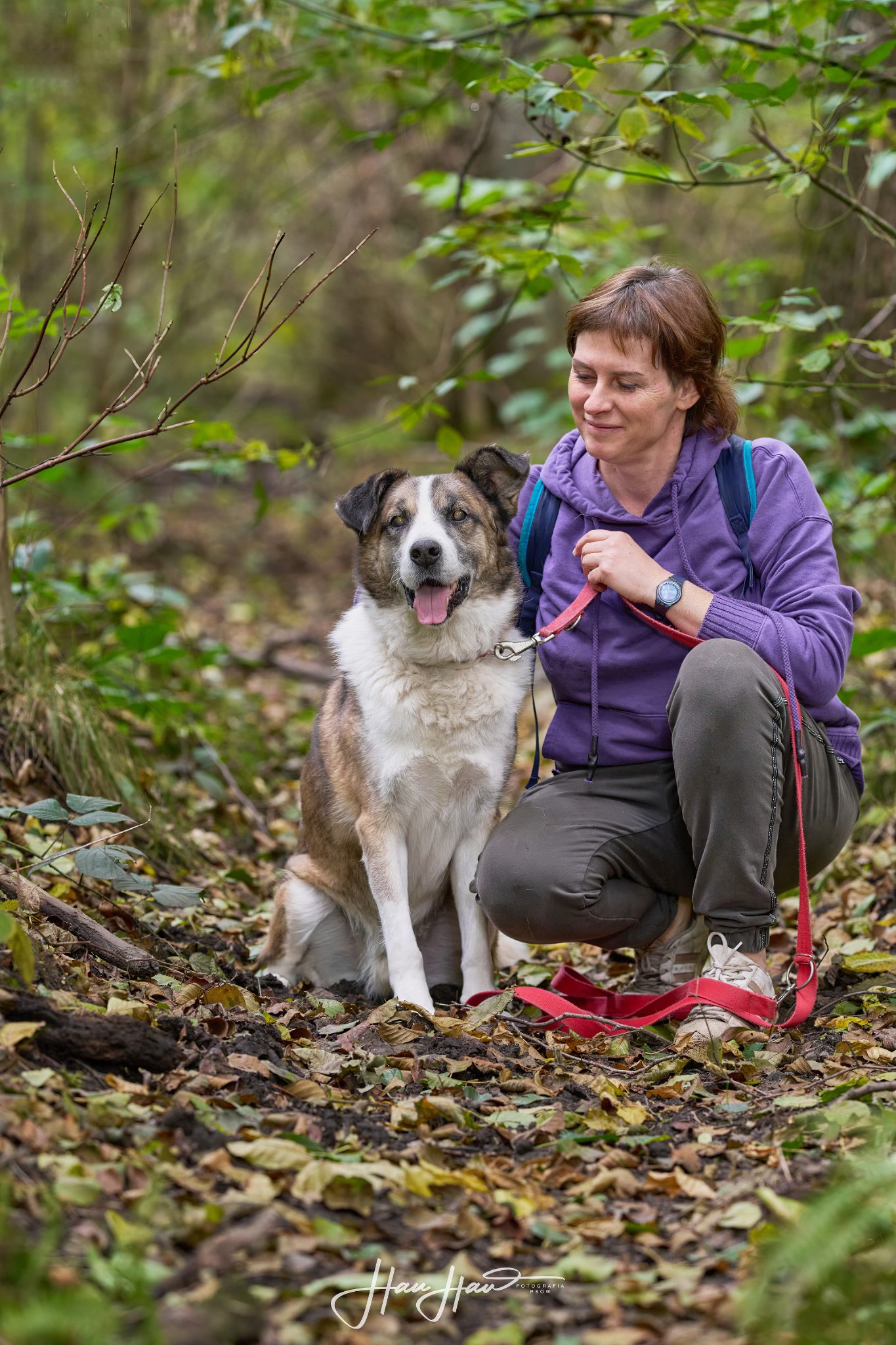 Niewidomy Wizir pilne 