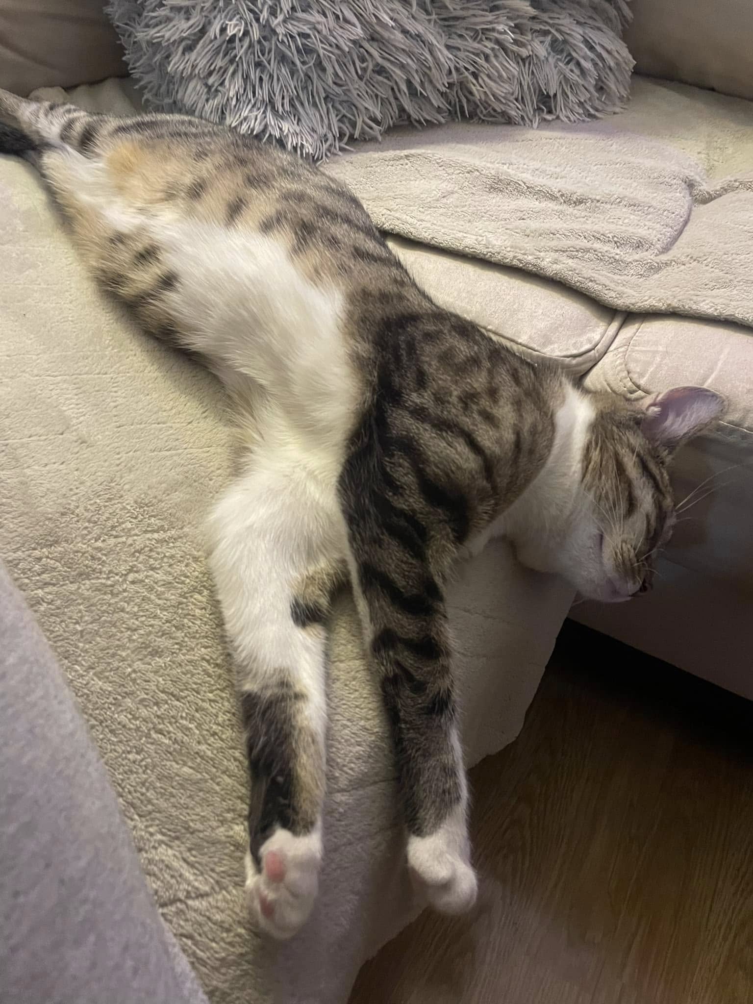 Hugo