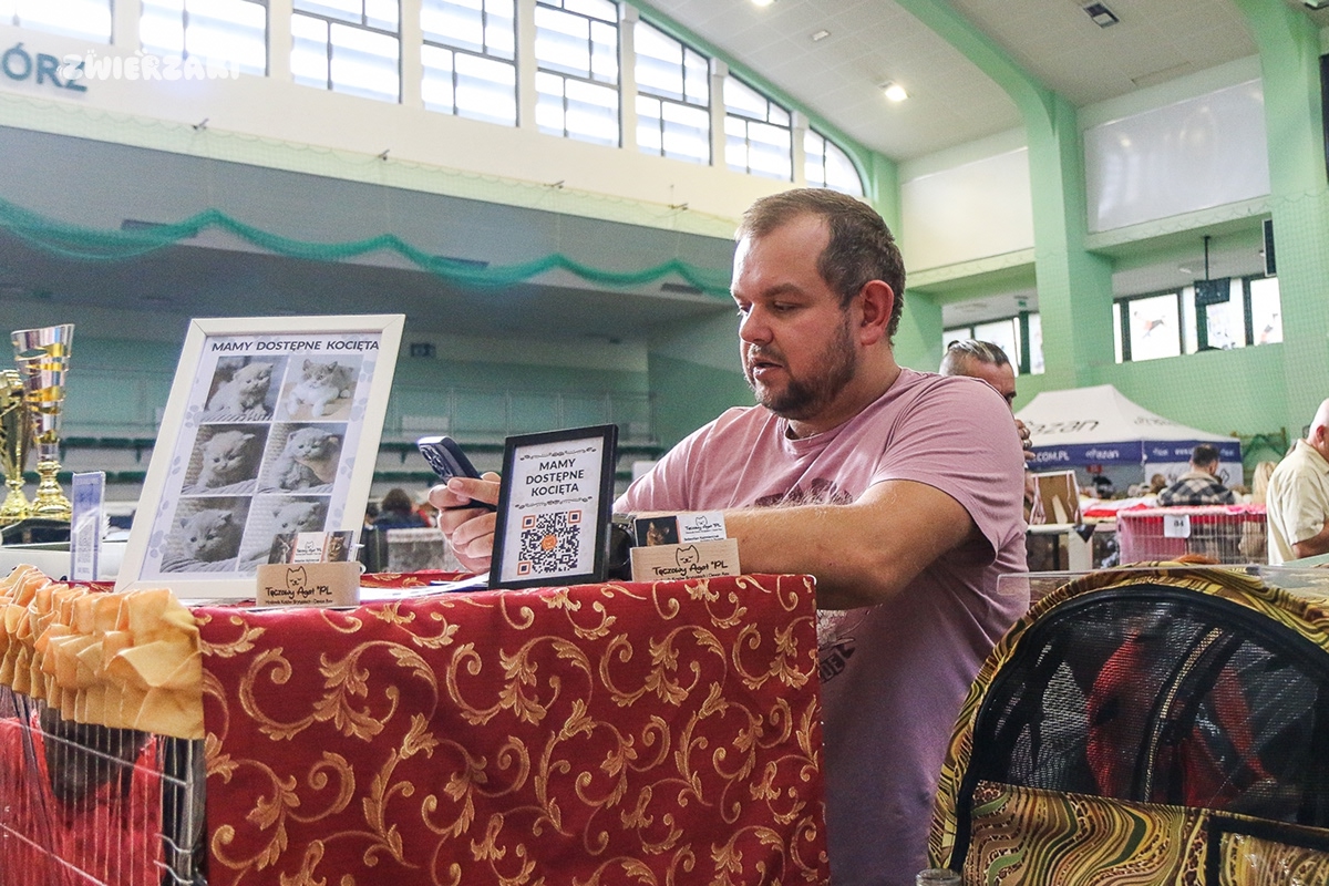 Międzynarodowa wystawa kotów w Raciborzu. Fotogaleria cz. 2