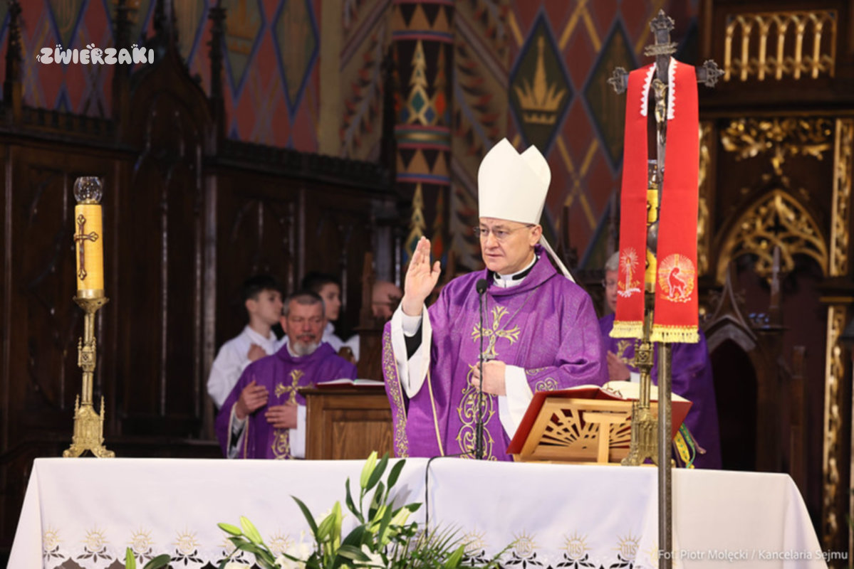 Pogrzeb Łukasza Litewki w Sosnowcu. Tłumy żegnały posła, który stawał w obronie zwierząt