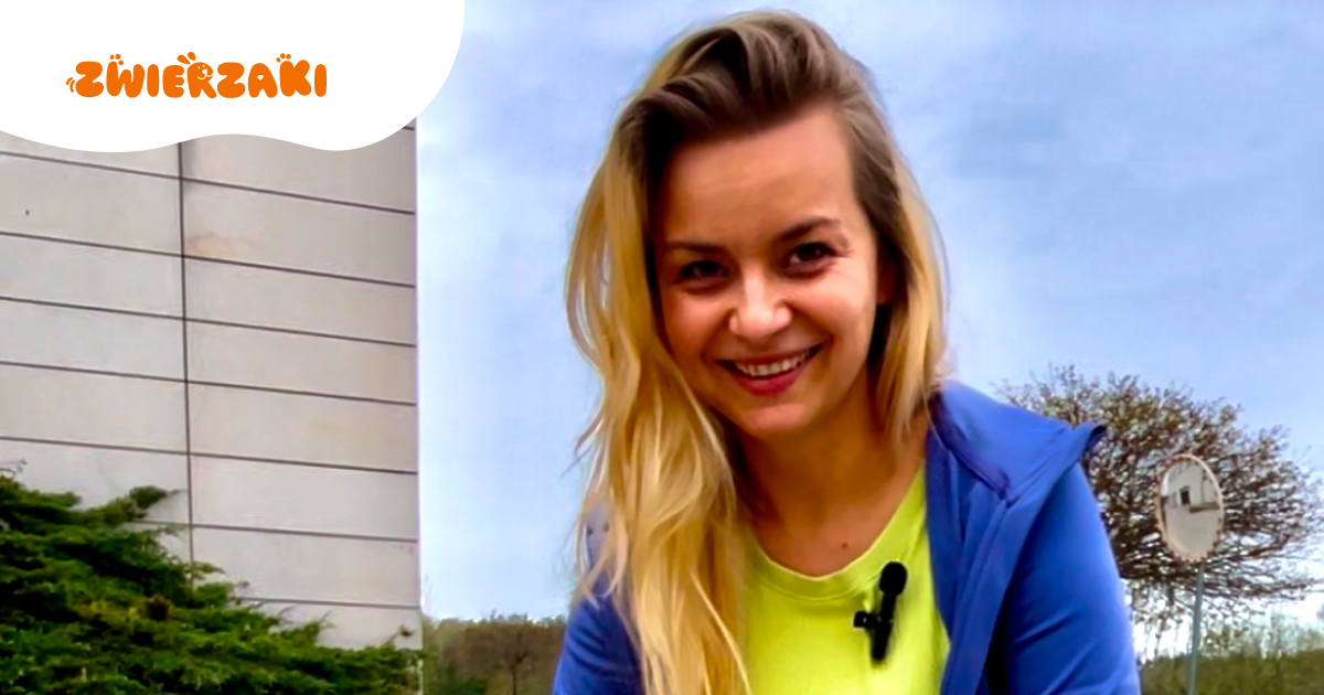 „Agresja psa to nie złośliwość, tylko wołanie o pomoc” – rozmowa z behawiorystką Anną Szordykowską