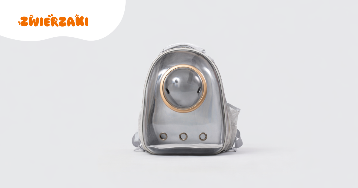 Plecak dla kota: czy to bezpieczne rozwiązanie?