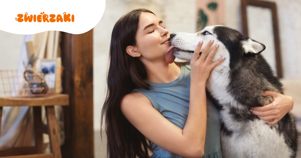 Dziwny zapach z pyska psa: kiedy może to wskazywać na chorobę?